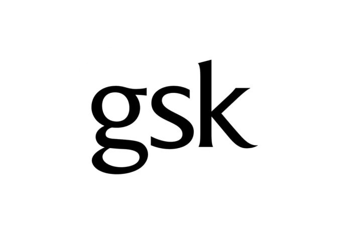 GSK | Leading E-commerce Digital Marketing Agency in the Philippines